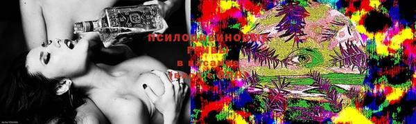 mdpv Бронницы