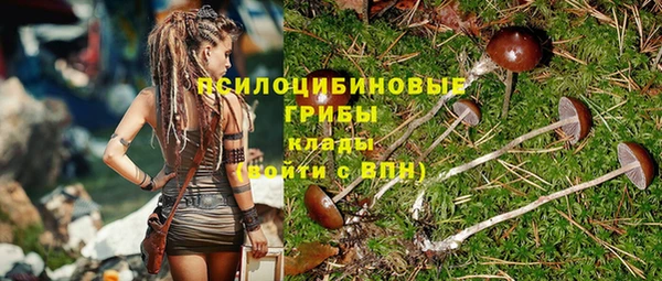 кристаллы Бородино